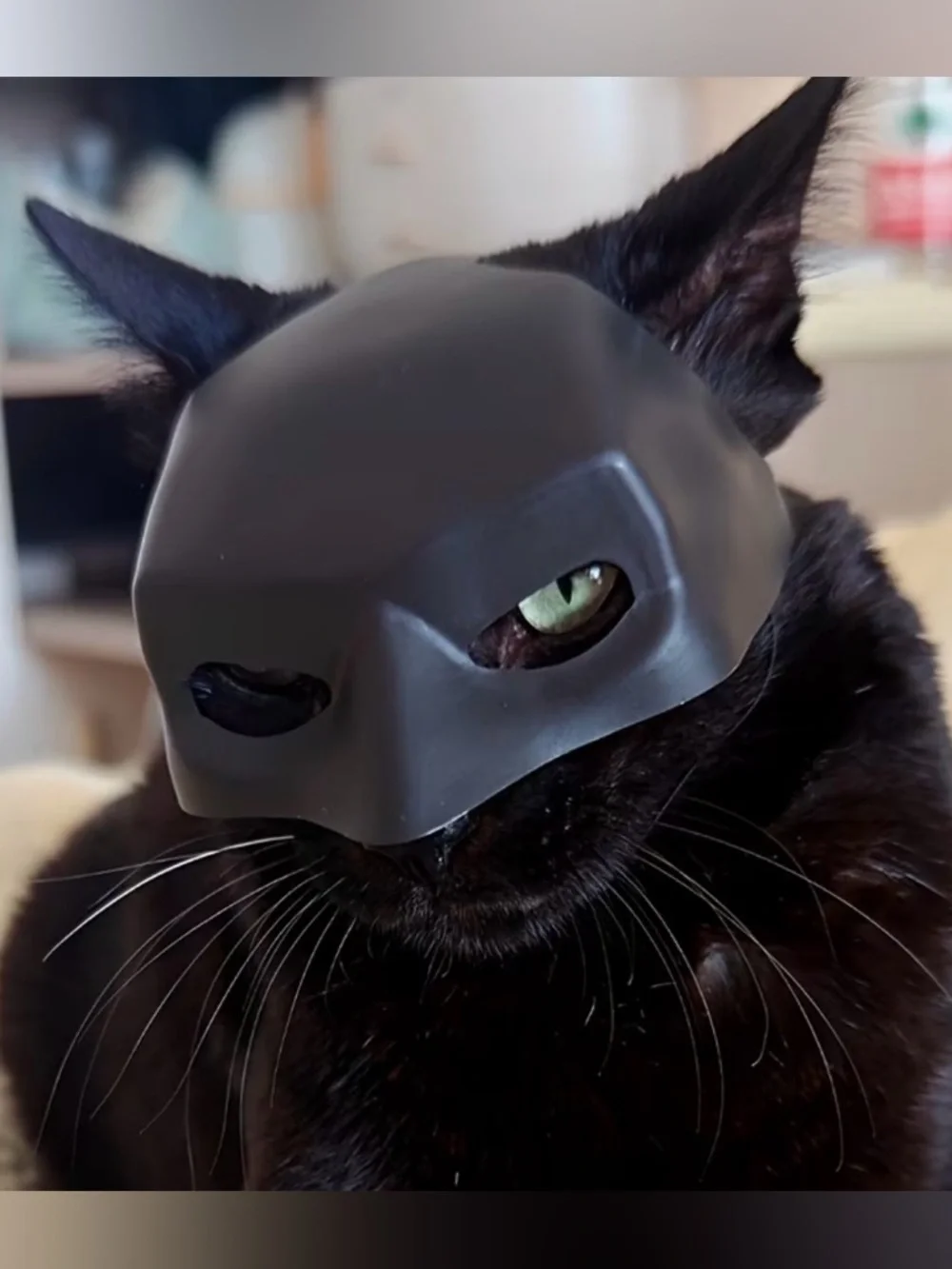 🦇 New! Cat Batman Mask w Strap Feline Superhero Cosplay Cat Costume